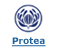 Click here to show Protea offers