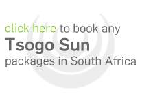 Tsogo Sun Hotels
